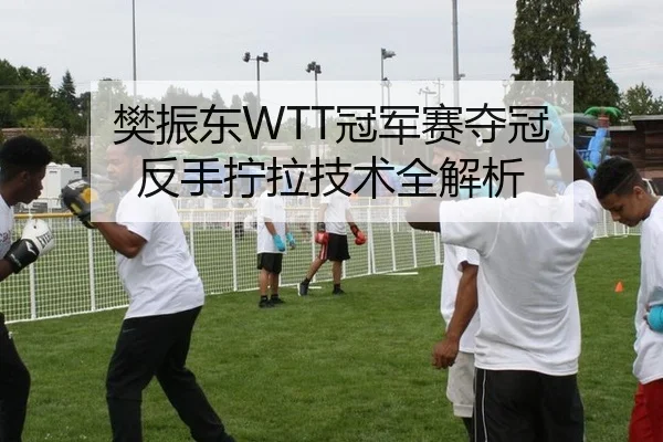 樊振东WTT冠军赛夺冠 反手拧拉技术全解析
