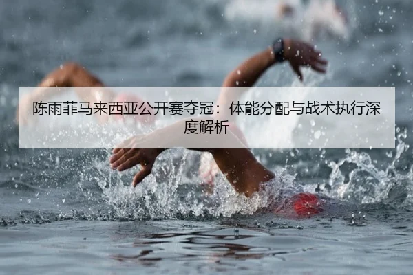 陈雨菲马来西亚公开赛夺冠：体能分配与战术执行深度解析